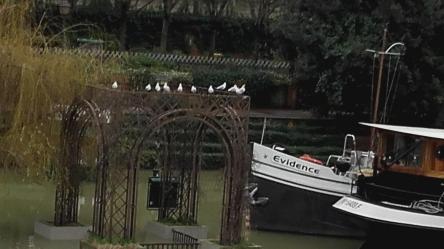 Oiseau rect